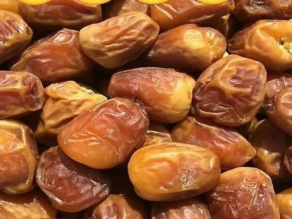 خرید بهترین انواع خرمای خشک با قیمت ارزان