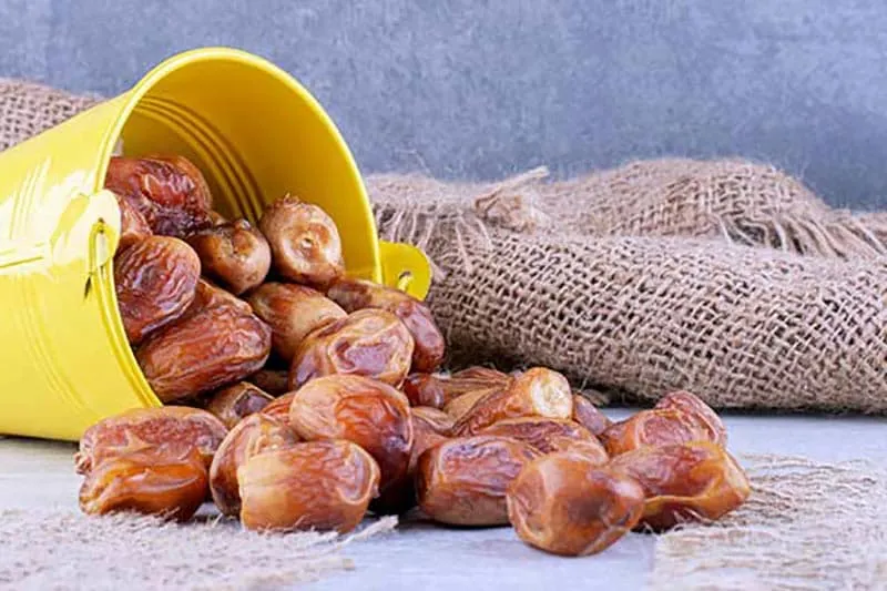 قیمت و خرید خرمای زاهدی بوشهر