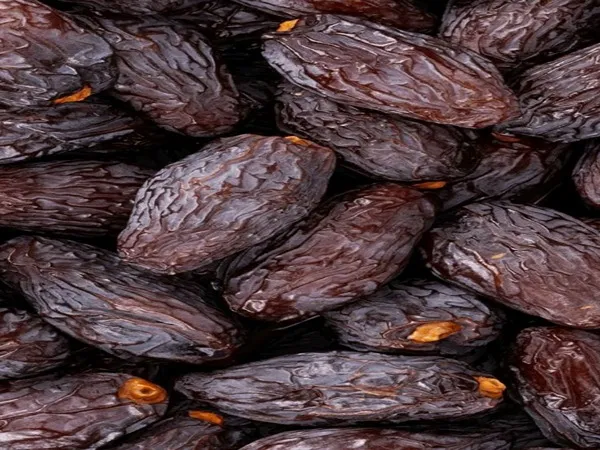 قیمت خرید خرما مرداسنگ جیرفت + مشخصات، عمده ارزان